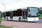 МАЗ-203 2006 года